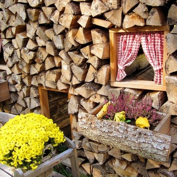 Meet your Posher, Eva - Picture 1 of 1